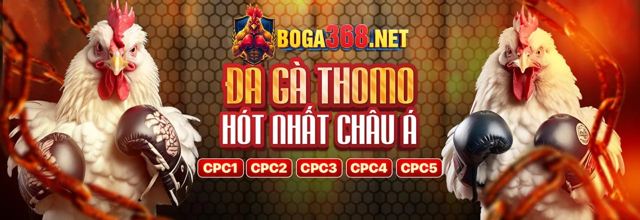 Hình ảnh chính của trang blog DG88 Nổ Hũ